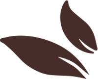 Paysagiste à Saint Paterne Racan - Sarl Cîmes - Leaf brown left1